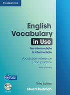 učebnice angličtiny English Vocabulary in Use Pre-intermediate and Intermediate